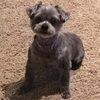 darla_wilson